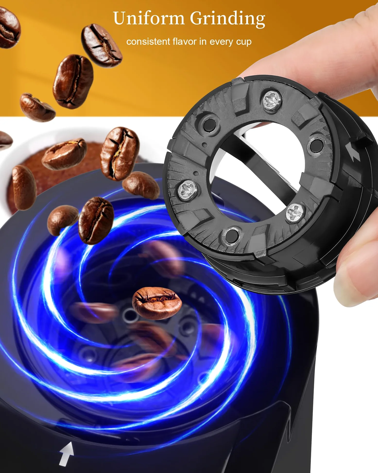 Moulin à Café à Meule Wancle 200W avec 28 Réglages de Mouture, Protection Contre la Surchauffe, Capacité de 2 à 12 Tasses, Design Compact pour un Rangement Facile, Acier Inoxydable, 220V