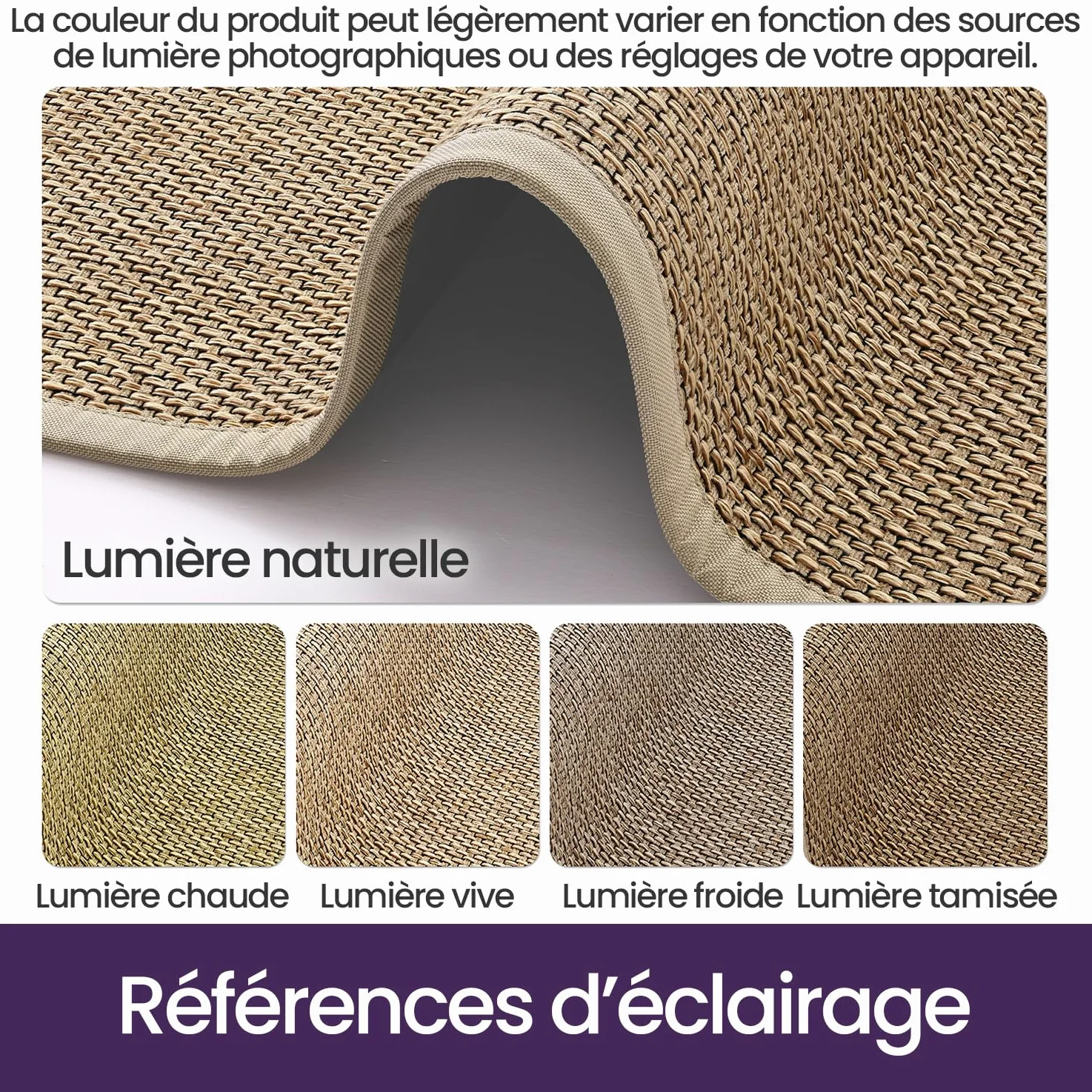 DEXI Paillasson 60 x 90 cm, Tapis d Entrée Intérieur Antidérapant et Absorbant, Profil Bas, Facile à Nettoyer, pour Couloir, Porte, Cuisine, Beige