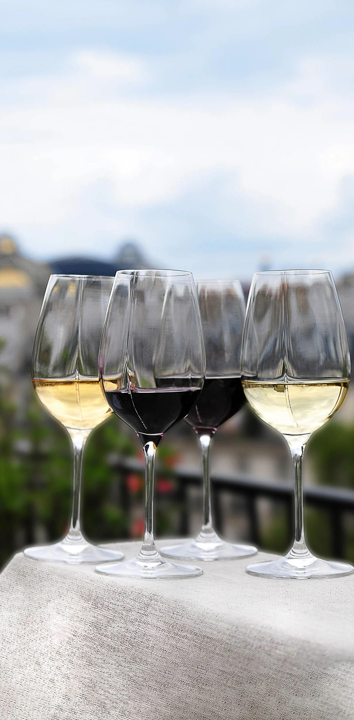 L’Atelier du VIN – Verre L’Exploreur Oenologie – Technologie Nervure des Arômes – Libère Toutes Les Saveurs – 4 Verres