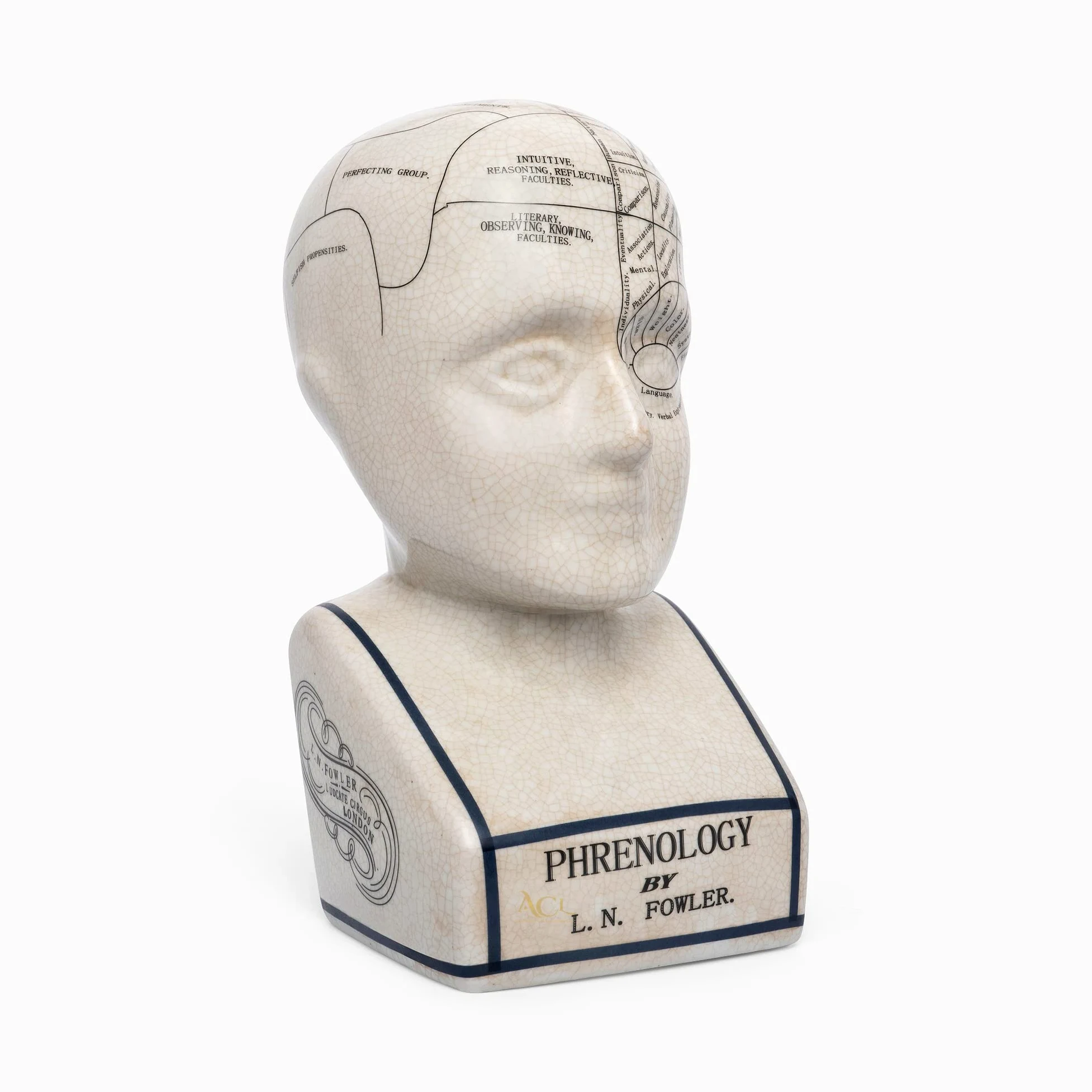 ACL Tête de phrénologie - Ornement en céramique à Collectionner - Buste rétro - Finition émaillée - Bureau de médecin - LN Fowler - Statue de Conte de Fortune - Sensations du Cerveau - 28 cm - Blanc
