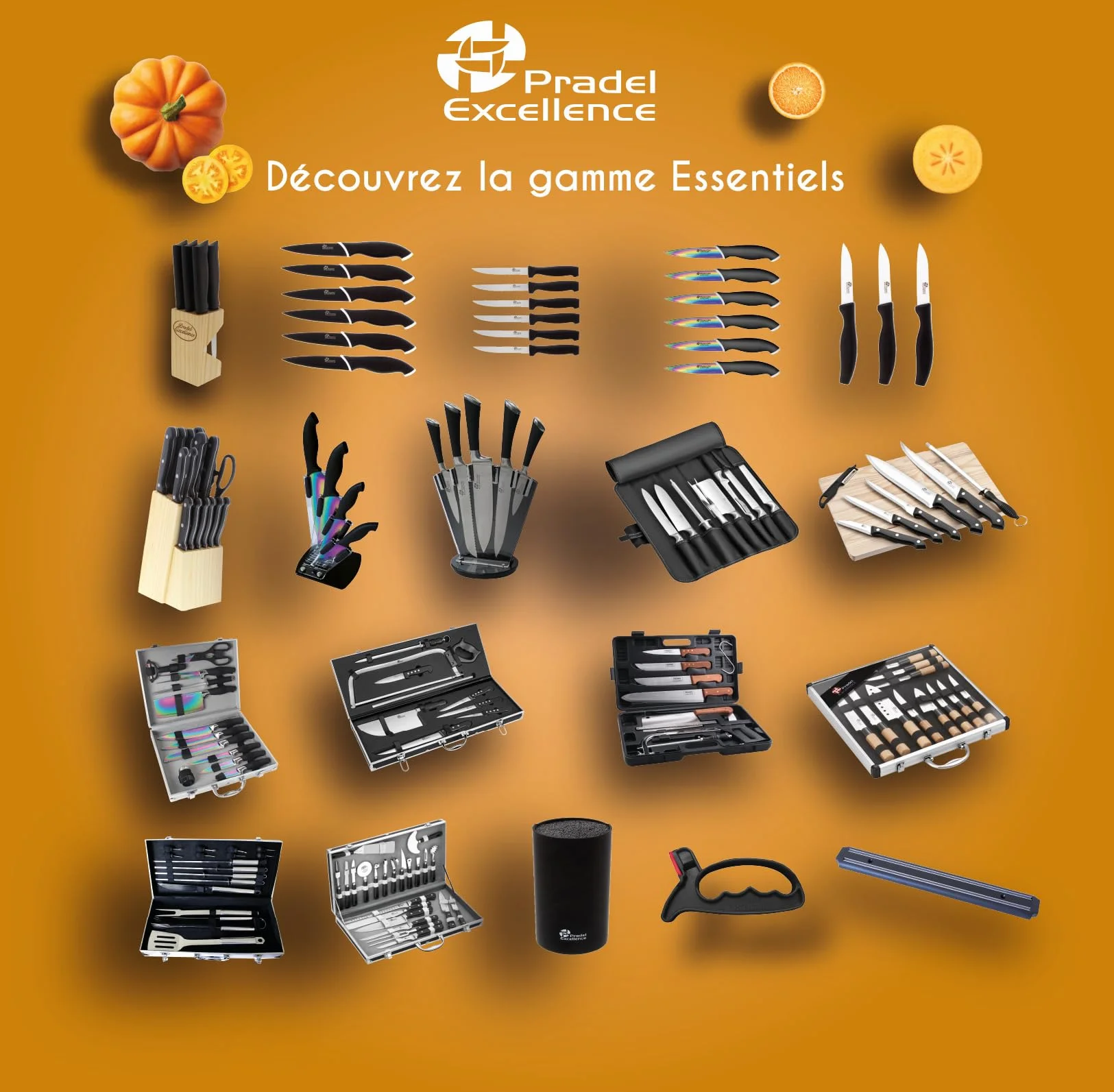 Pradel Excellence - Bloc Couteaux et Accessoires 17 Pièces - Lames Acier Inoxydable - Manches POM 3 Rivets - Fourchette, Fusil, Ciseaux - Bloc Bois - Boîte Couleur