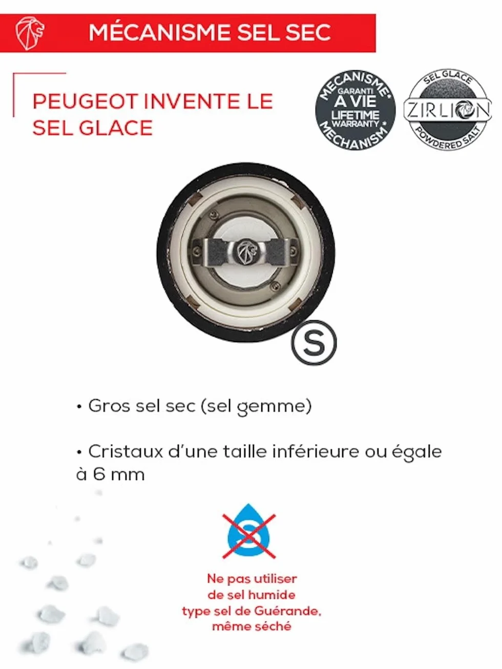PEUGEOT - Bar À Sel Maestro - Moulin À Sel 10cm Réglage U'Select - Innovation Sel Glace, Mécanisme Zirlion - Fabrication Française - en Bois PEFC & INOX - Coloris Graphite