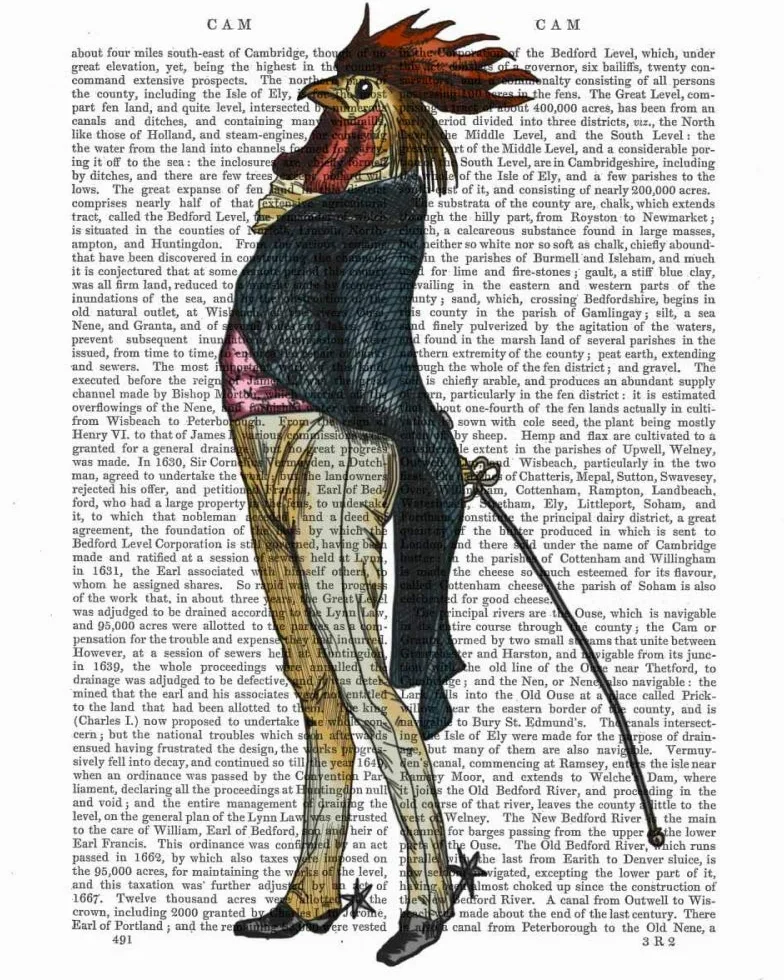 IMPRESSION d'art sur TOILE encadré dans CAISSE AMERICAINE Cockerel avec éperons Fab Funky Capricieux Portrait sur toile 100% coton affiche encadré prêt à accroc cm_50_X_40