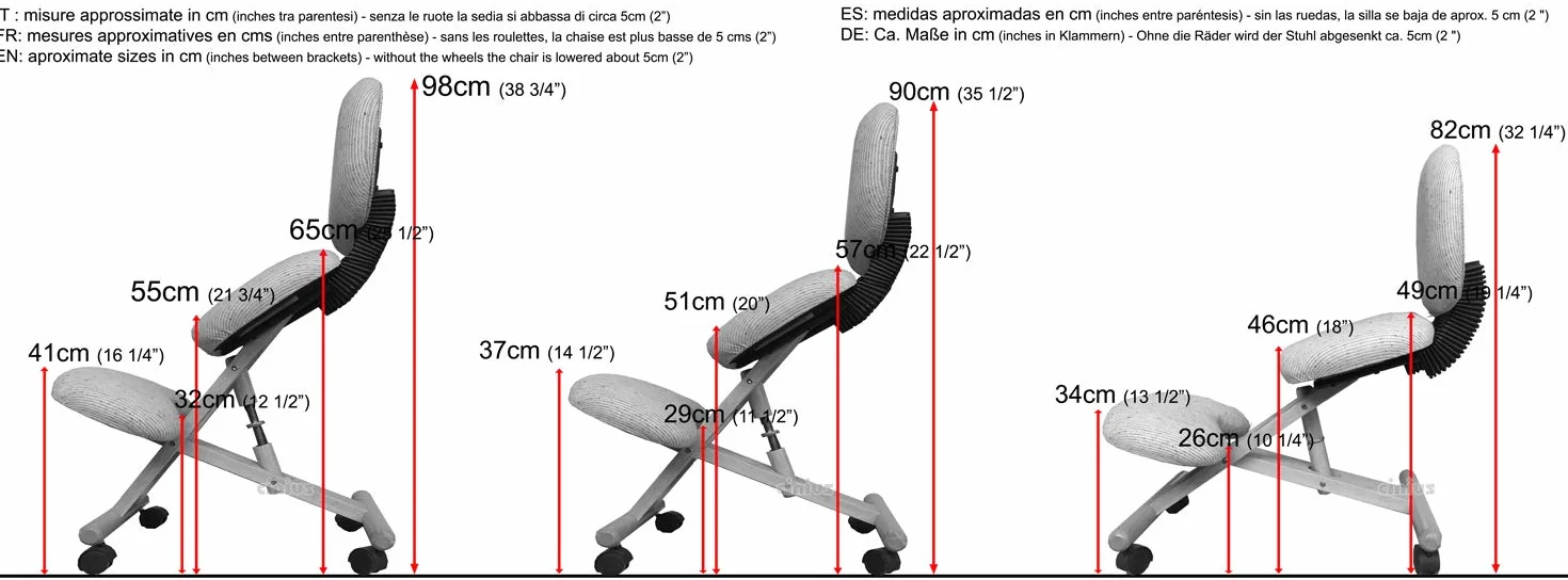cinius Chaise Ergonomique Professionnelle avec Dossier, Couleur Naturelle/Noir