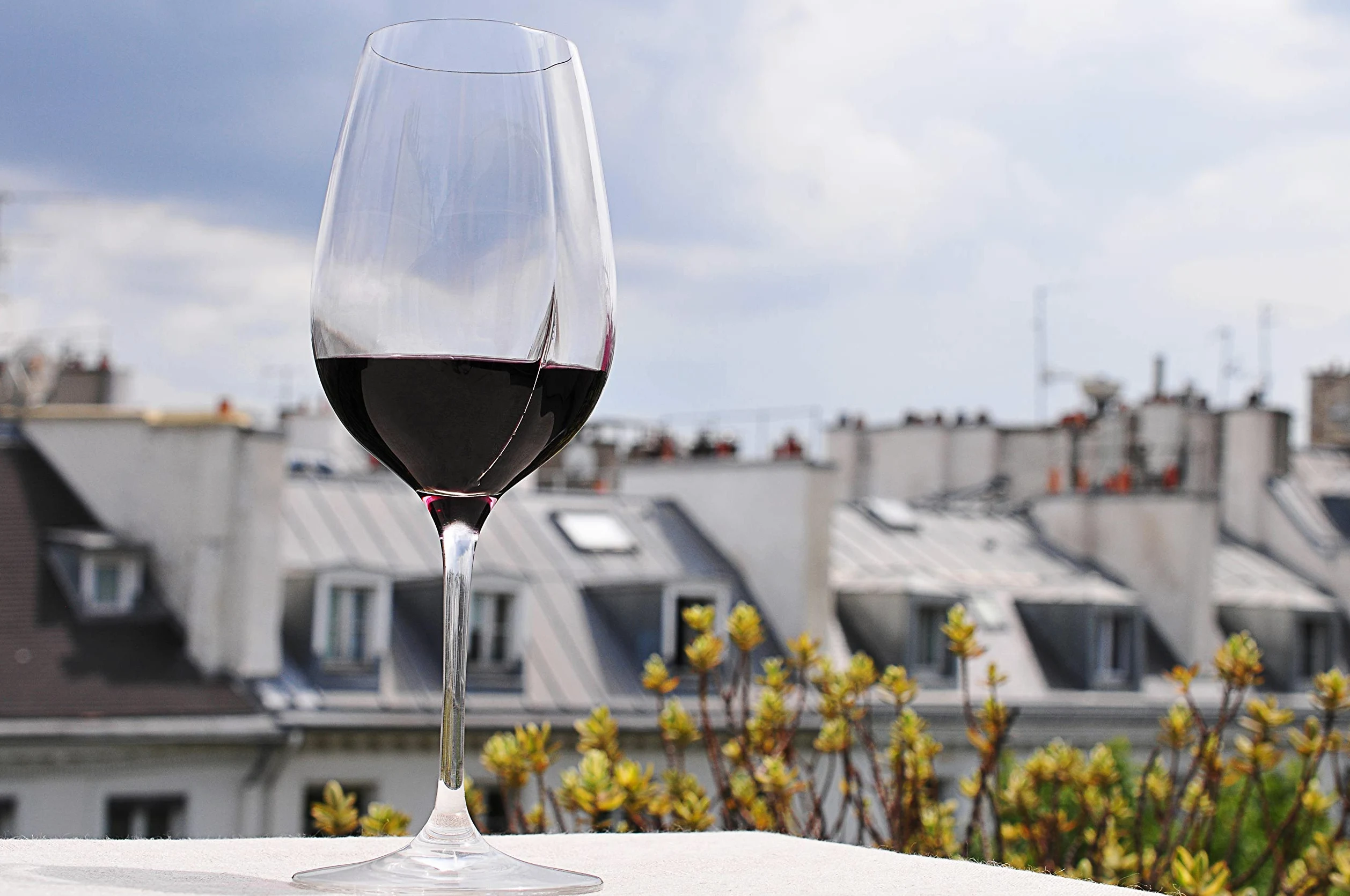 L’Atelier du VIN – Verre L’Exploreur Oenologie – Technologie Nervure des Arômes – Libère Toutes Les Saveurs – 4 Verres