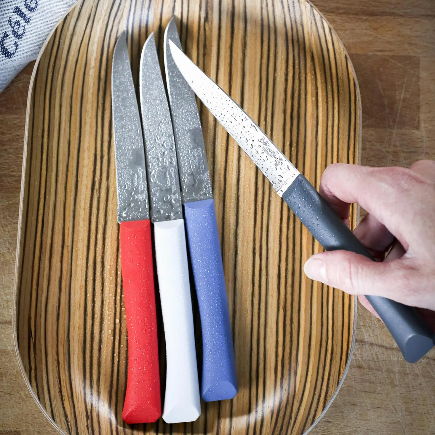 Opinel - Coffret 4 Couteaux de Table Bon Appétit+ Primo - Lame Denture Velours INOX - Manche Confort - Fabrication Française - Bleu, Rouge, Nuage, Anthracite