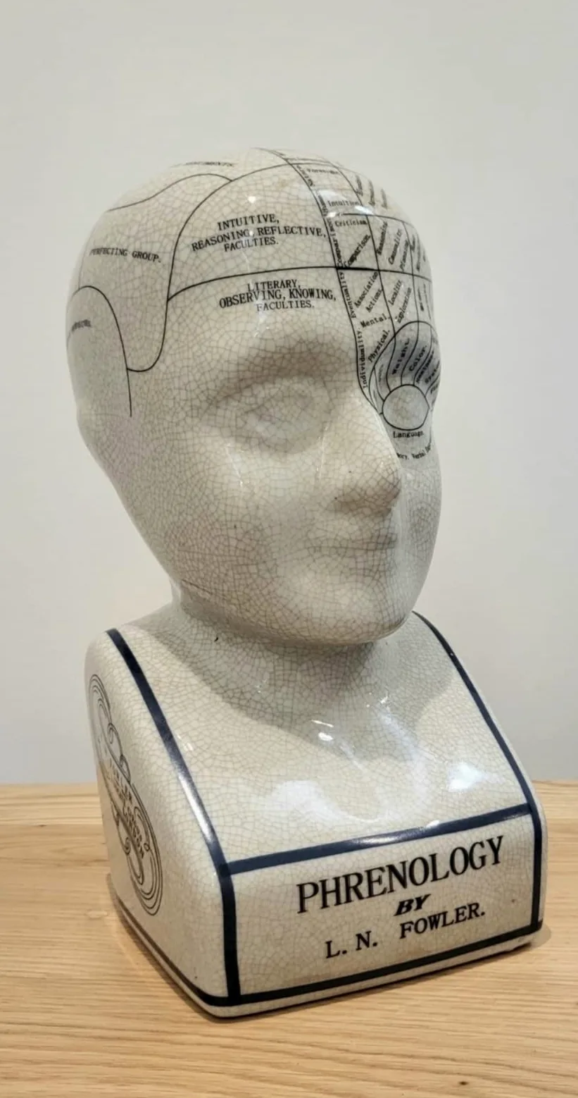 ACL Tête de phrénologie - Ornement en céramique à Collectionner - Buste rétro - Finition émaillée - Bureau de médecin - LN Fowler - Statue de Conte de Fortune - Sensations du Cerveau - 28 cm - Blanc