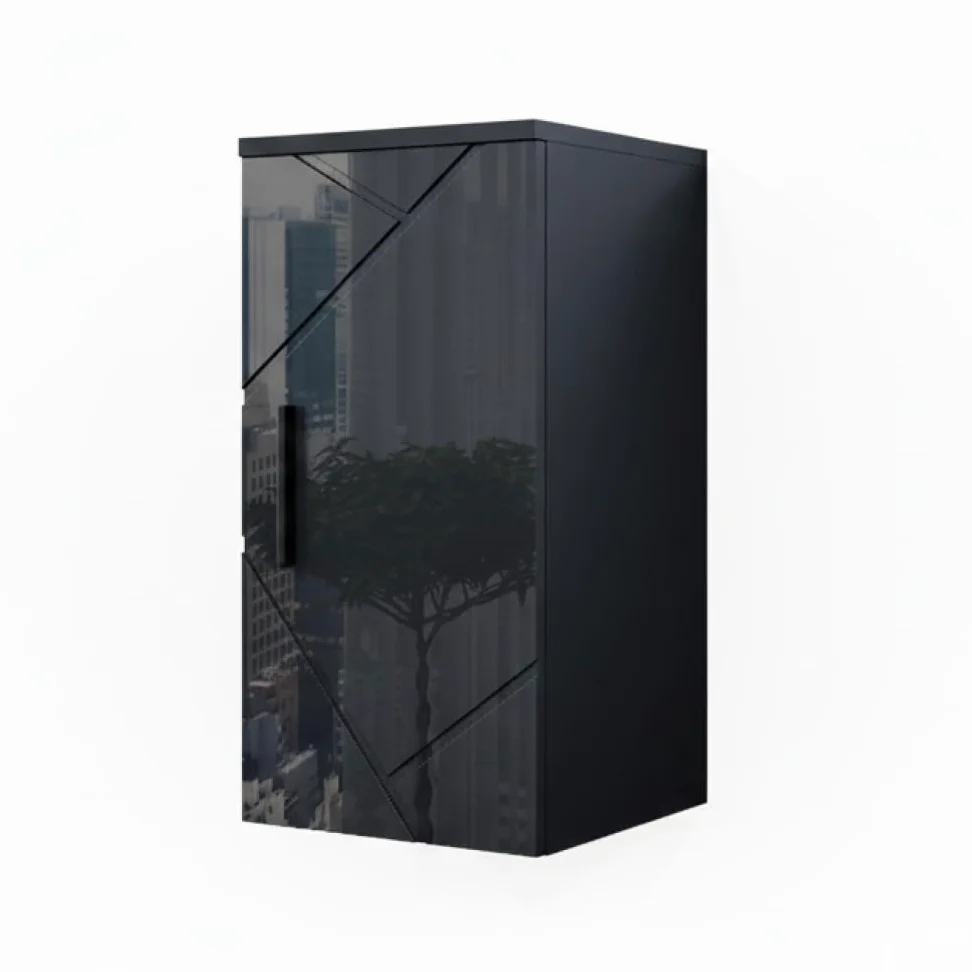 Vicco Armoire Murale Irma, Anthracite Haute Brillance, 30x59cm, adapté à la Fixation Murale et combinable avec d'autres Meubles Irma