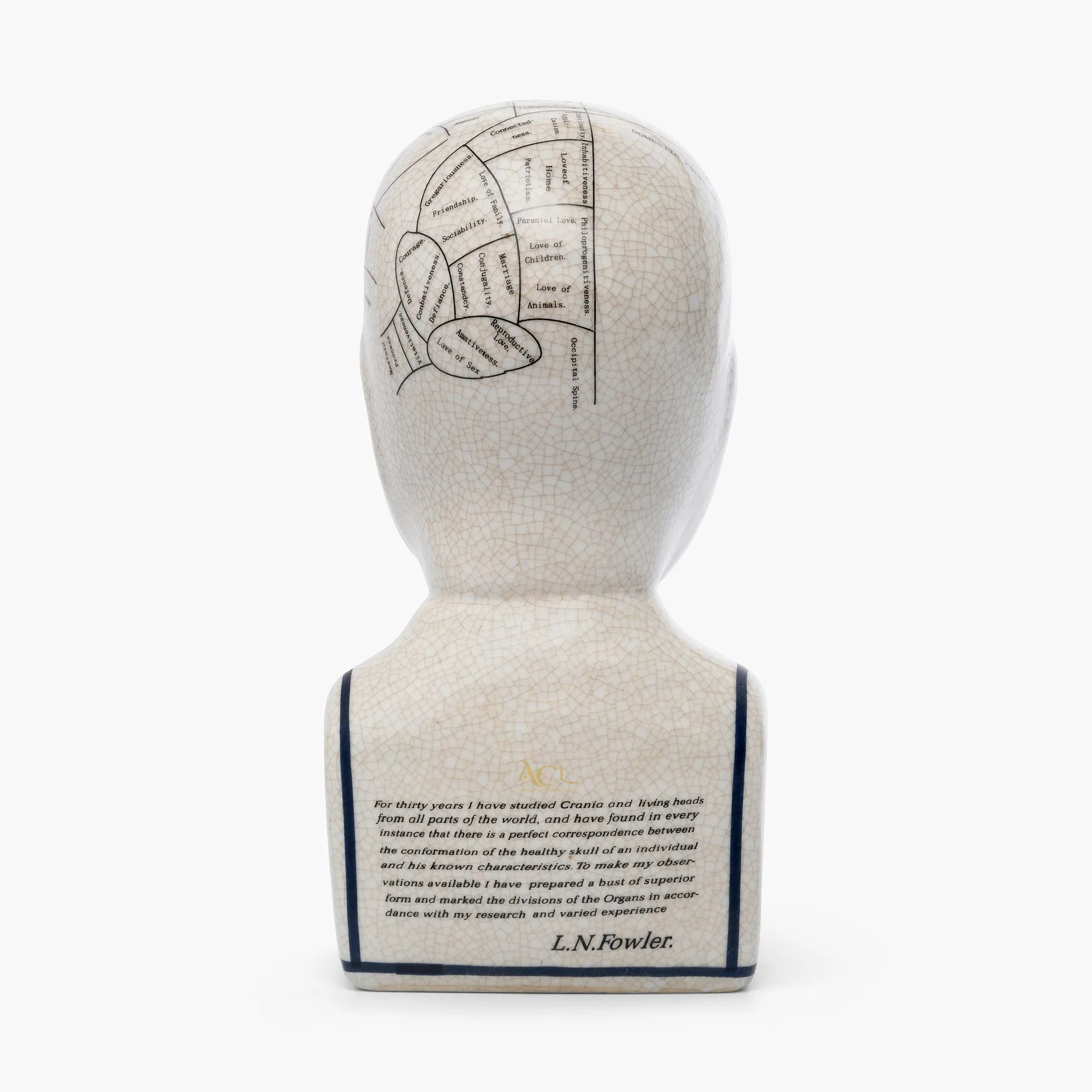 ACL Tête de phrénologie - Ornement en céramique à Collectionner - Buste rétro - Finition émaillée - Bureau de médecin - LN Fowler - Statue de Conte de Fortune - Sensations du Cerveau - 28 cm - Blanc