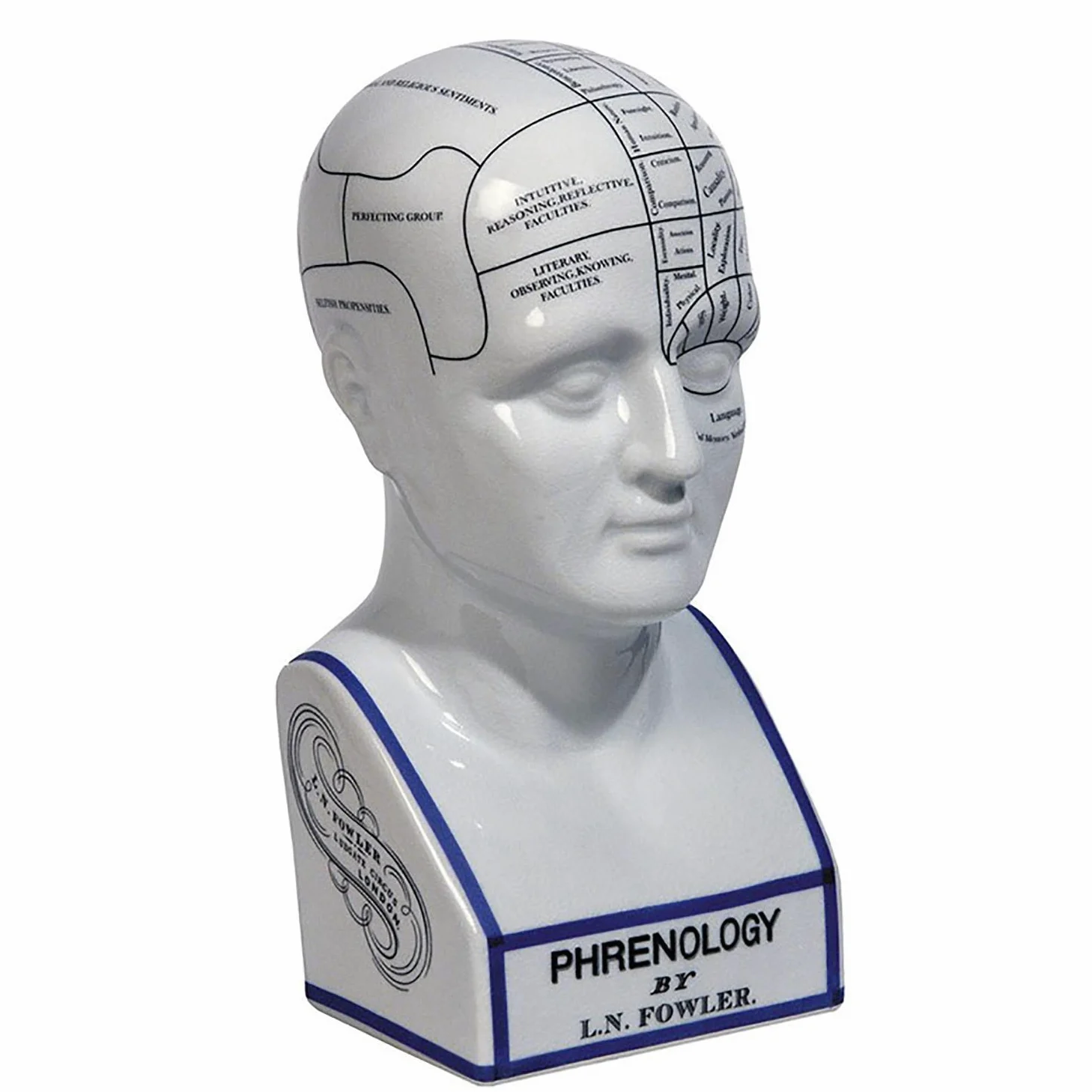 Authentic Models Tête Phrénologique en Porcelaine Blanche - Sculpture - Art Déco - Maison - Pendaison de Crémaillère, Anniversaire