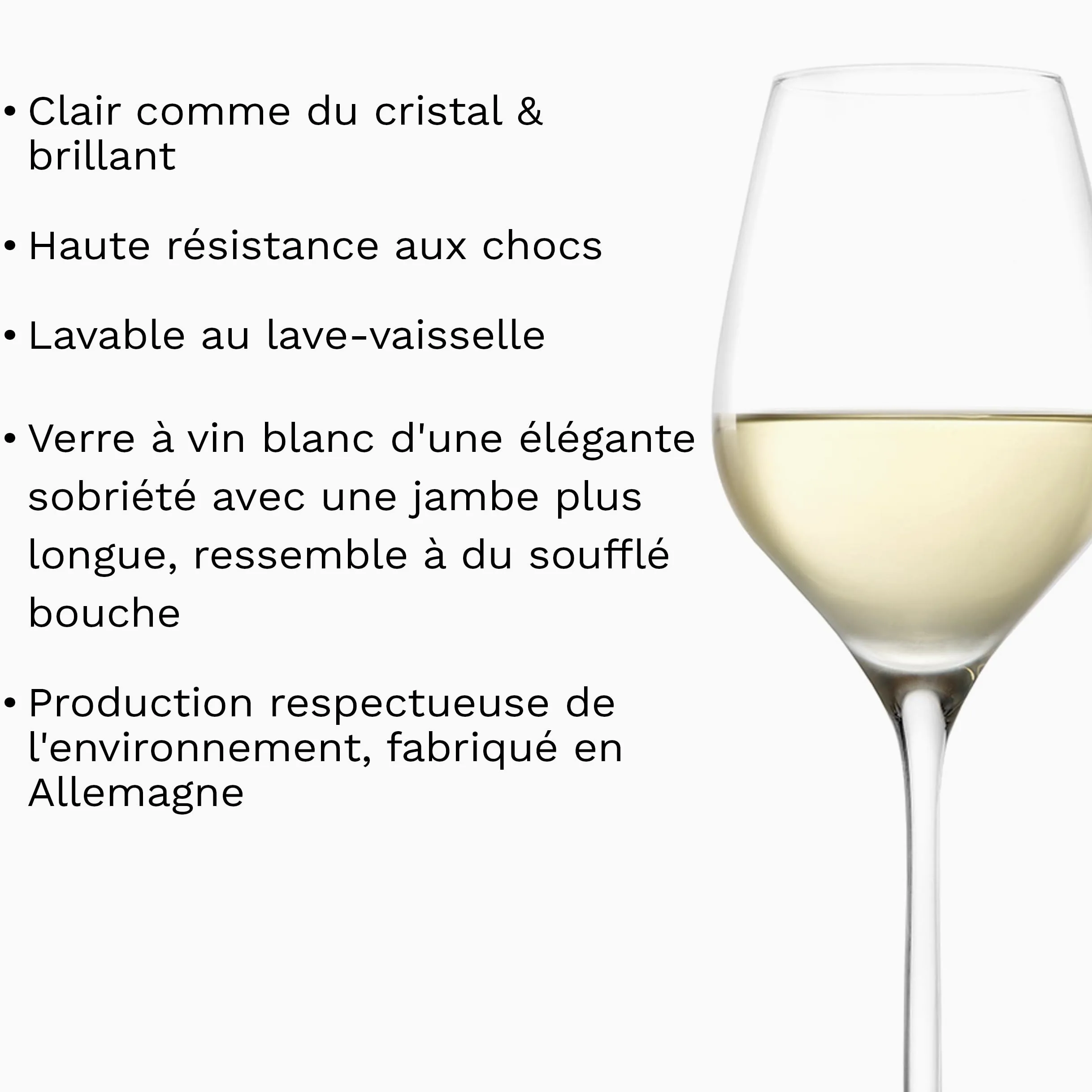 Stölzle Lausitz Verres à Vin Blanc Exquisit Royal 6-Pièces 350 ml – Verres Élégants en Cristal pour Vin Rouge Léger & Rosé – Résistants au Lave-Vaisselle