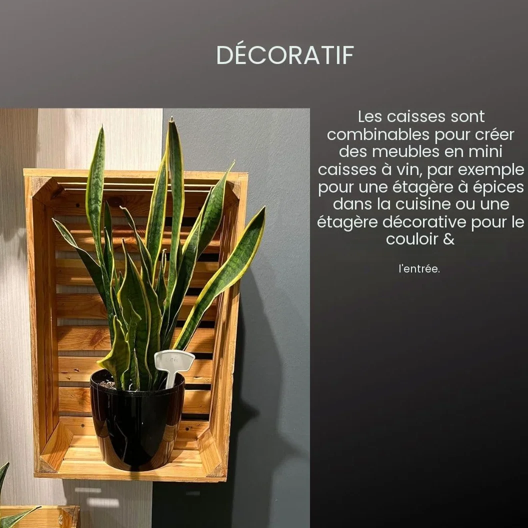 Grandes caisses en bois 50x40x30 cm – Lot de 3 boîtes naturelles – Caisse à vin, fruits et légumes – Boîte de rangement en bois vintage pour déco, cuisine, jardin ou étagère