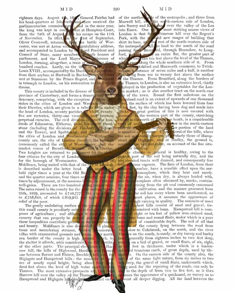 IMPRESSION d'art sur TOILE encadré dans CAISSE AMERICAINE Deer Midstrel Fab Funky Capricieux Portrait sur toile 100% coton affiche encadré prêt à accrocher cm_50_X_40