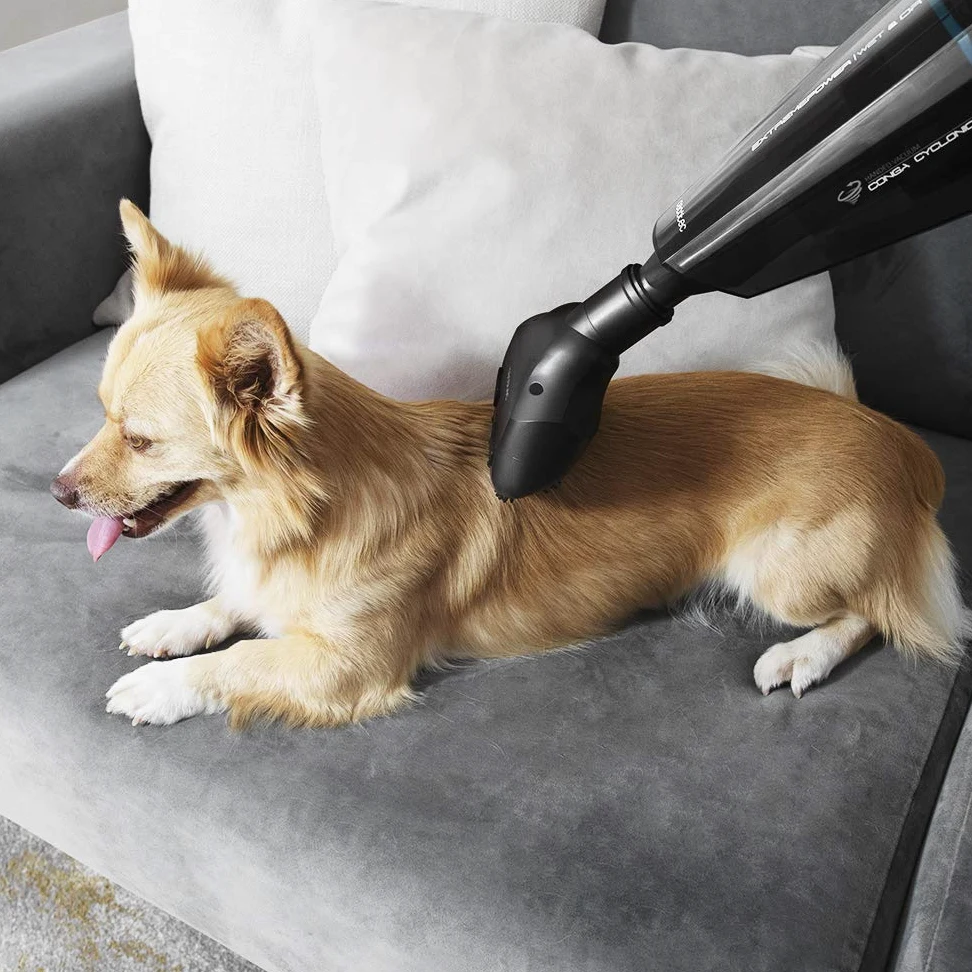 Cecotec Aspirateur à Main Conga Immortal ExtremeSuction 22.2 Animal Hand. 22.2 V, pour Solides et Liquides, Accessoire pour Animaux, Technologie Cyclonique, Autonomie de 25 Min