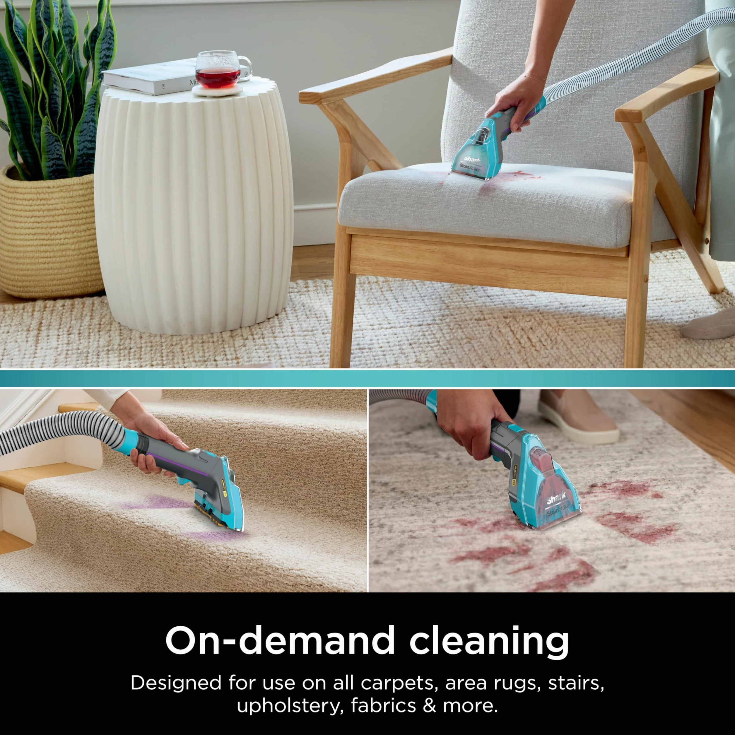 Shark EXCM48 CarpetXpert Deep Clean Pro Formula pour nettoyeurs de tapis Shark verticaux et portables, formulée pour tous les tapis, tissus d'ameublement et tapis, élimine les saletés et les odeurs