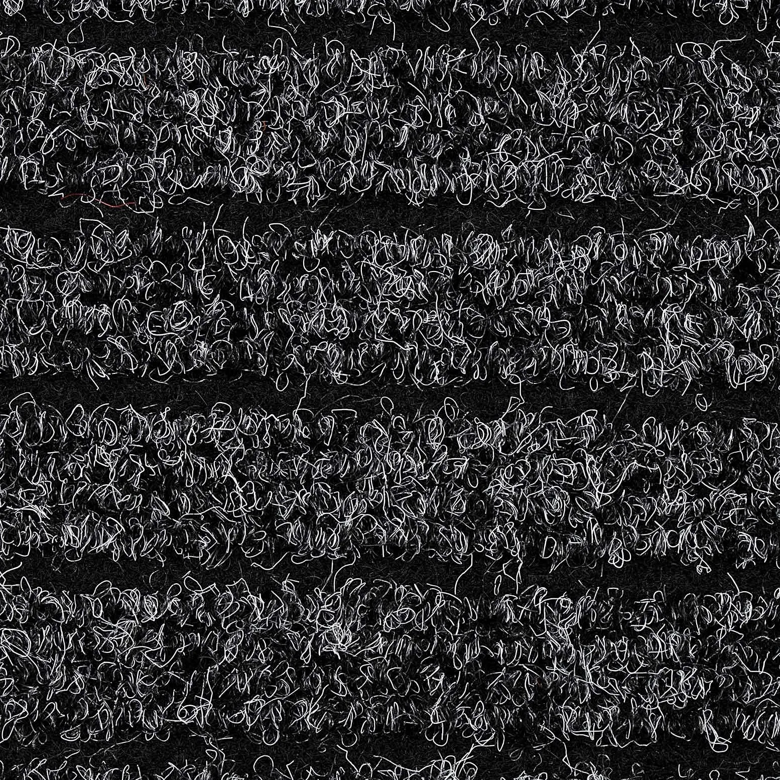 Floordirekt Paillasson Dura | Robuste et résistante | De nombreuses tailles et couleurs | Paillasson antidérapant pour intérieur et extérieur (Anthracite, 150 x 180 cm)