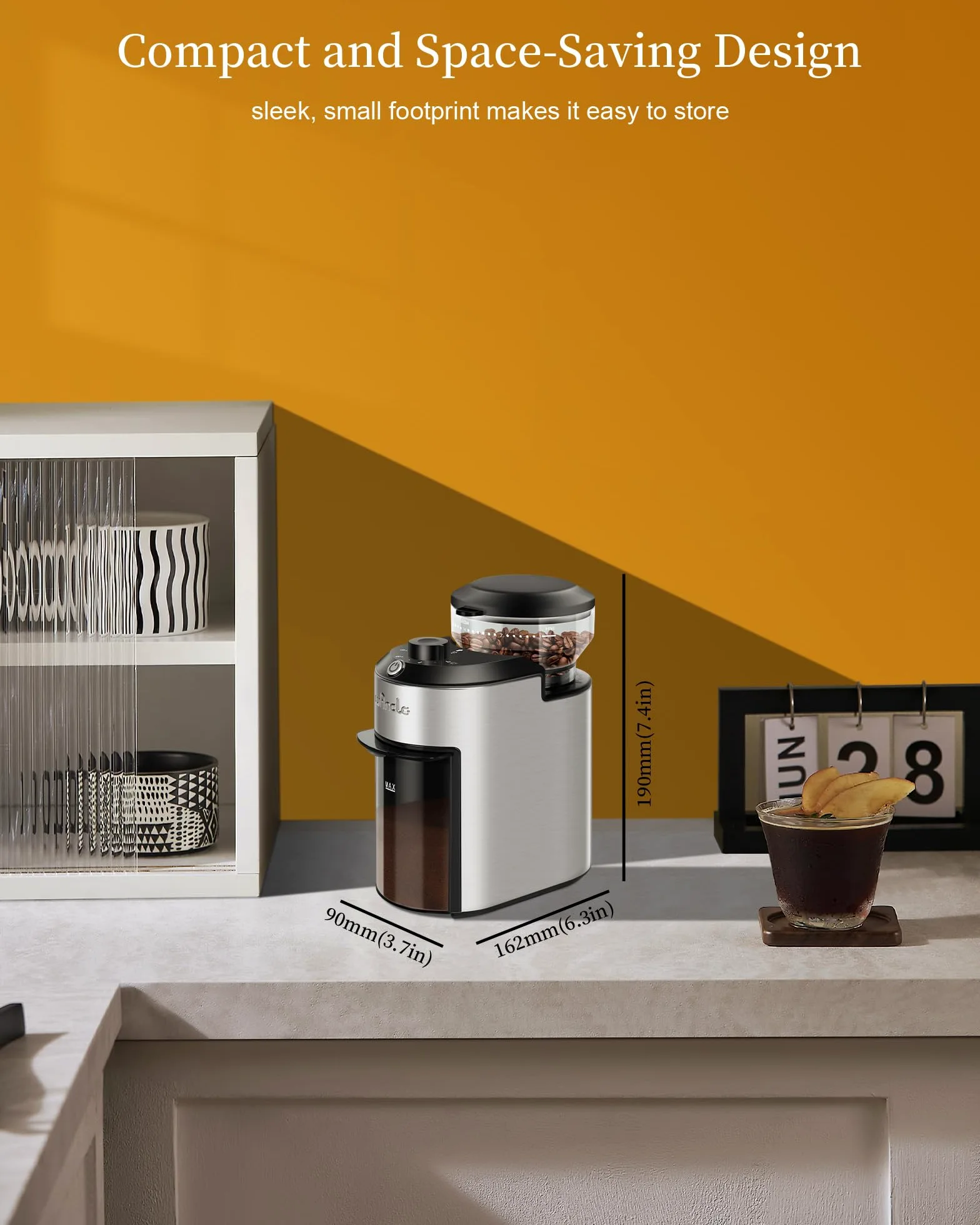 Moulin à Café à Meule Wancle 200W avec 28 Réglages de Mouture, Protection Contre la Surchauffe, Capacité de 2 à 12 Tasses, Design Compact pour un Rangement Facile, Acier Inoxydable, 220V