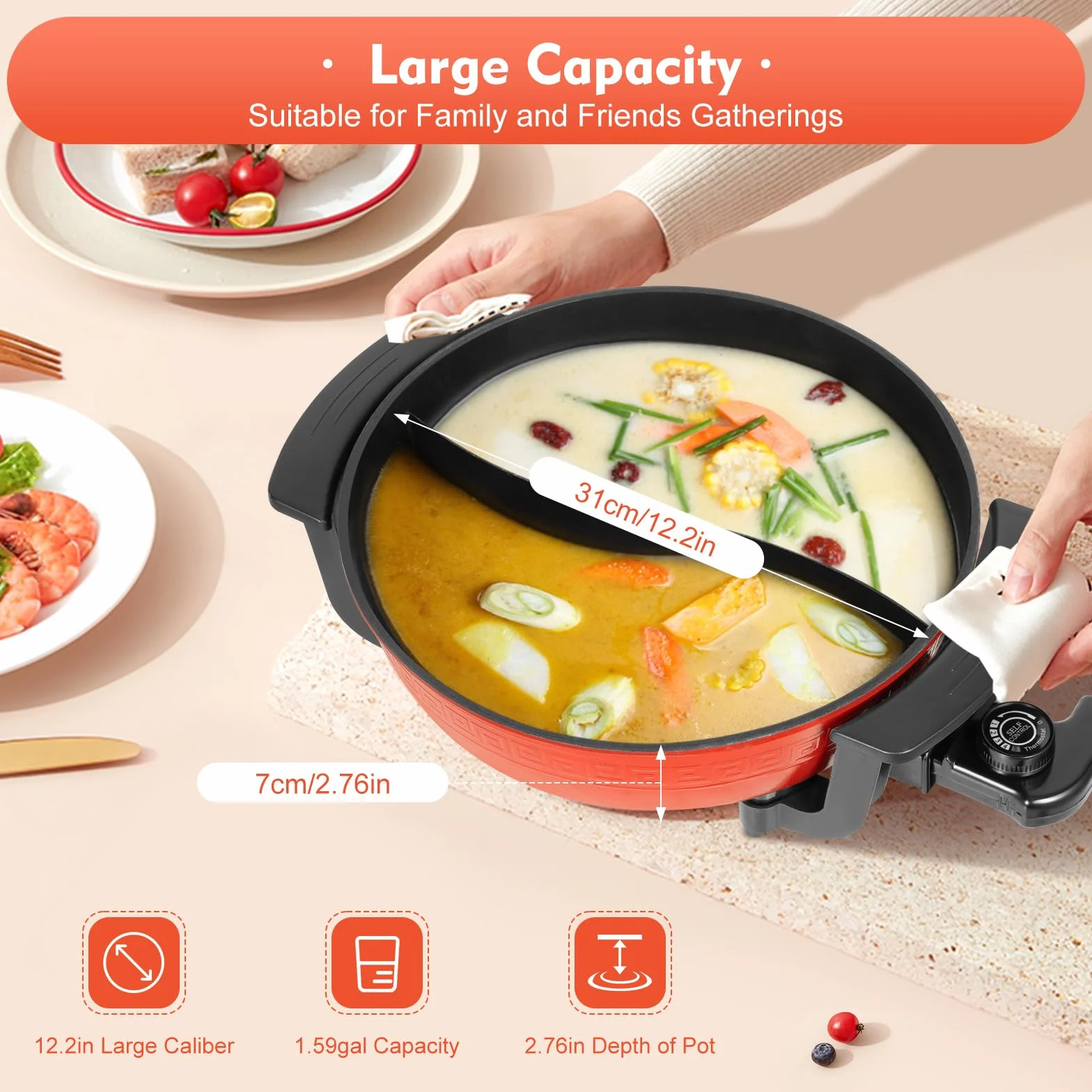 shabu Hot Pot à feu, avec cloison et couvercle, 6 l, pot à soupe électrique domestique, 1300 W 220 V