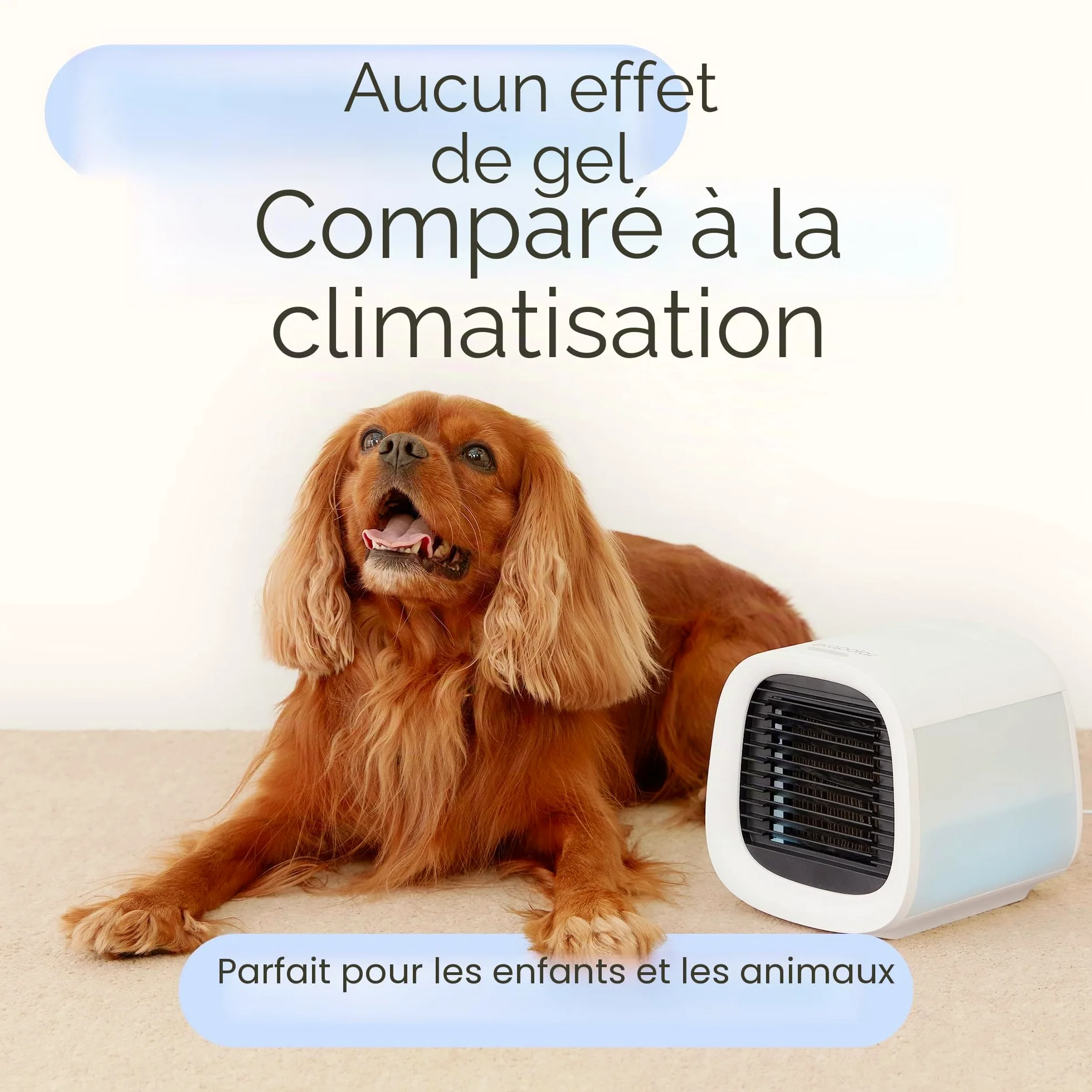 Evapolar evaCHILL Rafraichisseur d’Air Humidificateur Personnel à Évaporation - Ventilateur Portable Silencieux pour Maison, Bureau, Voyage - Connectique USB et Lumière LED Intégrée - Gris Small