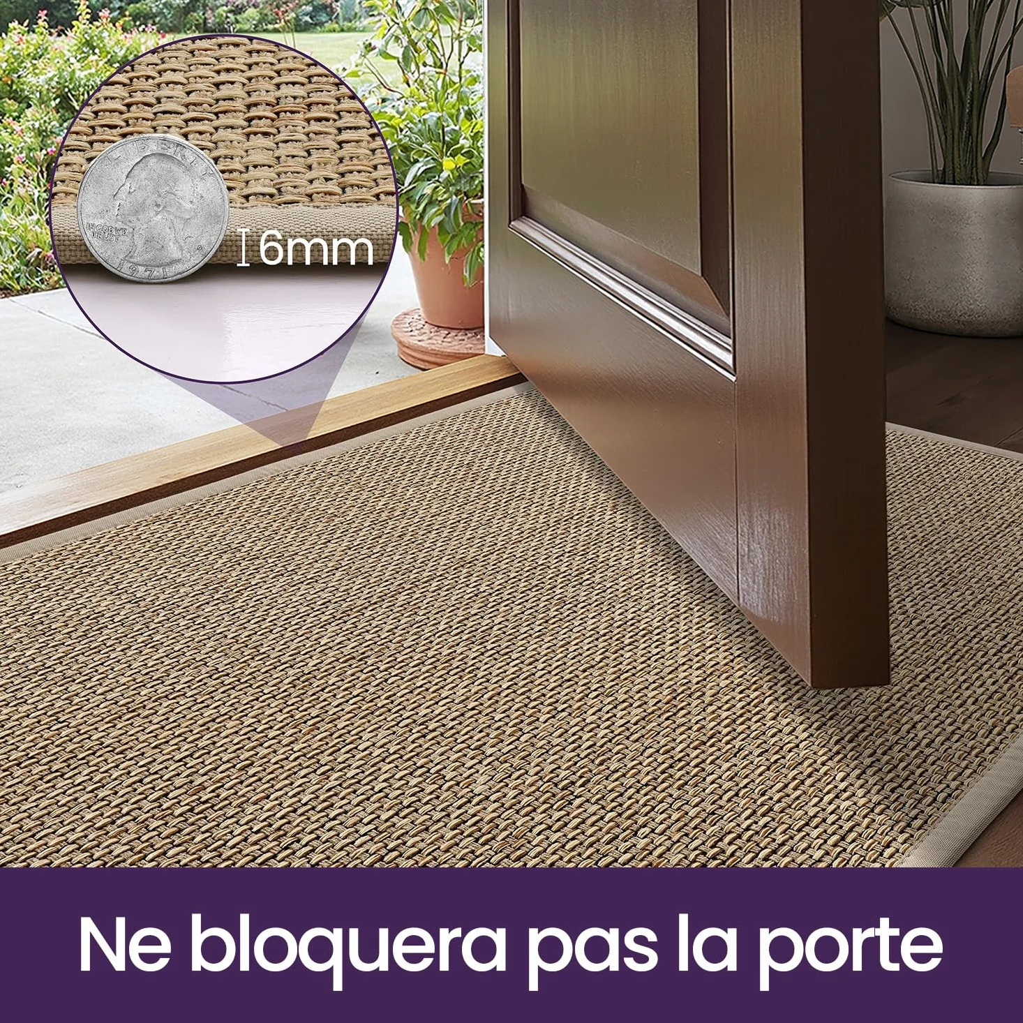 DEXI Paillasson 60 x 90 cm, Tapis d Entrée Intérieur Antidérapant et Absorbant, Profil Bas, Facile à Nettoyer, pour Couloir, Porte, Cuisine, Beige