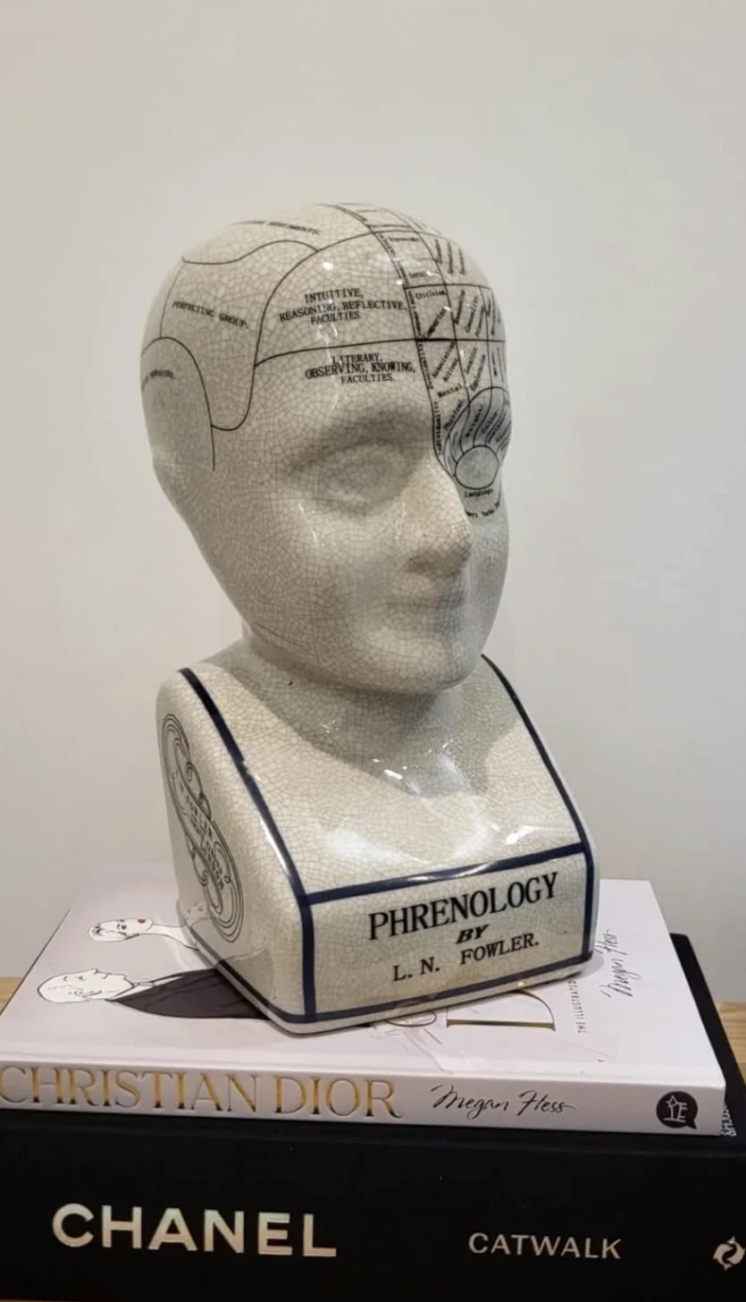 ACL Tête de phrénologie - Ornement en céramique à Collectionner - Buste rétro - Finition émaillée - Bureau de médecin - LN Fowler - Statue de Conte de Fortune - Sensations du Cerveau - 28 cm - Blanc
