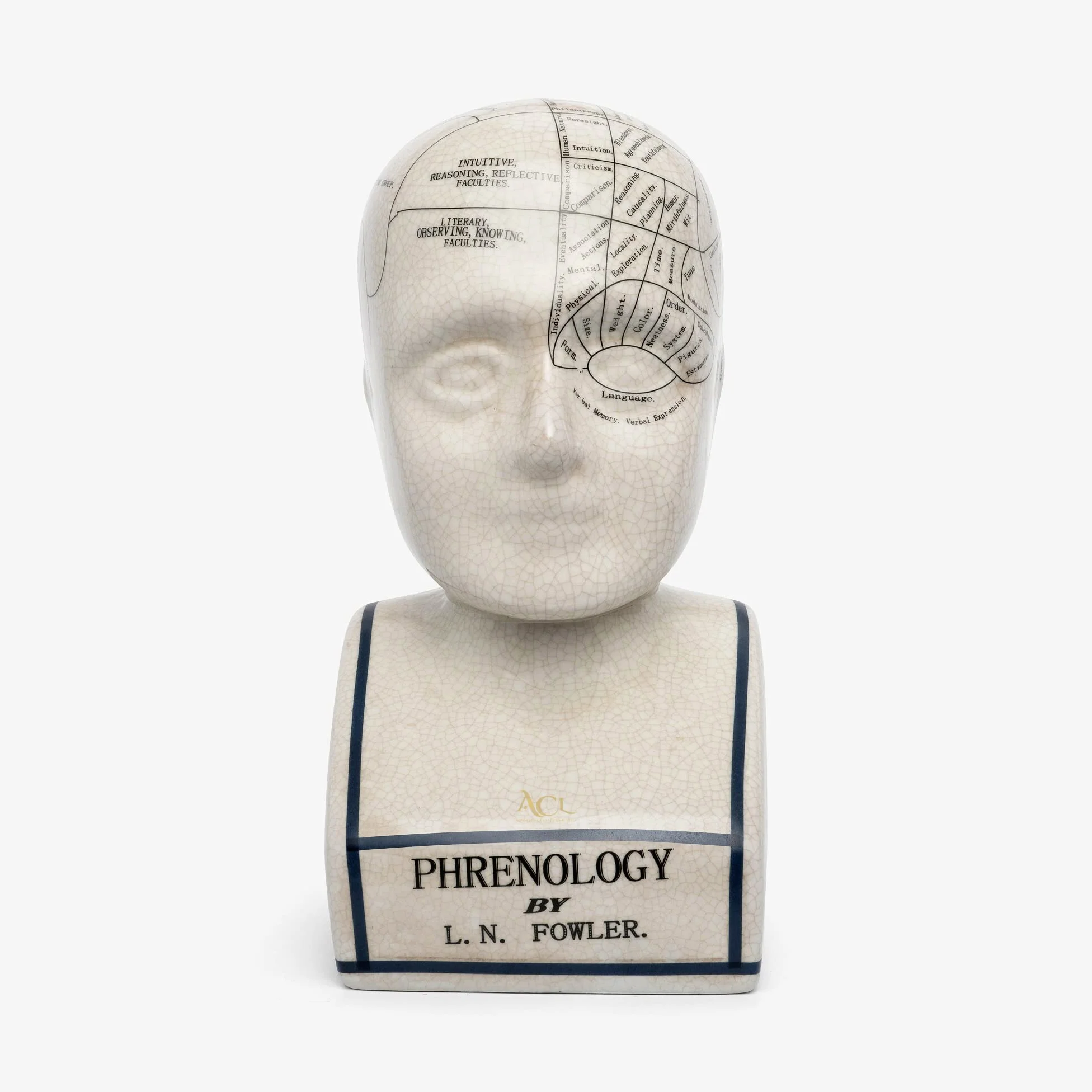 ACL Tête de phrénologie - Ornement en céramique à Collectionner - Buste rétro - Finition émaillée - Bureau de médecin - LN Fowler - Statue de Conte de Fortune - Sensations du Cerveau - 28 cm - Blanc