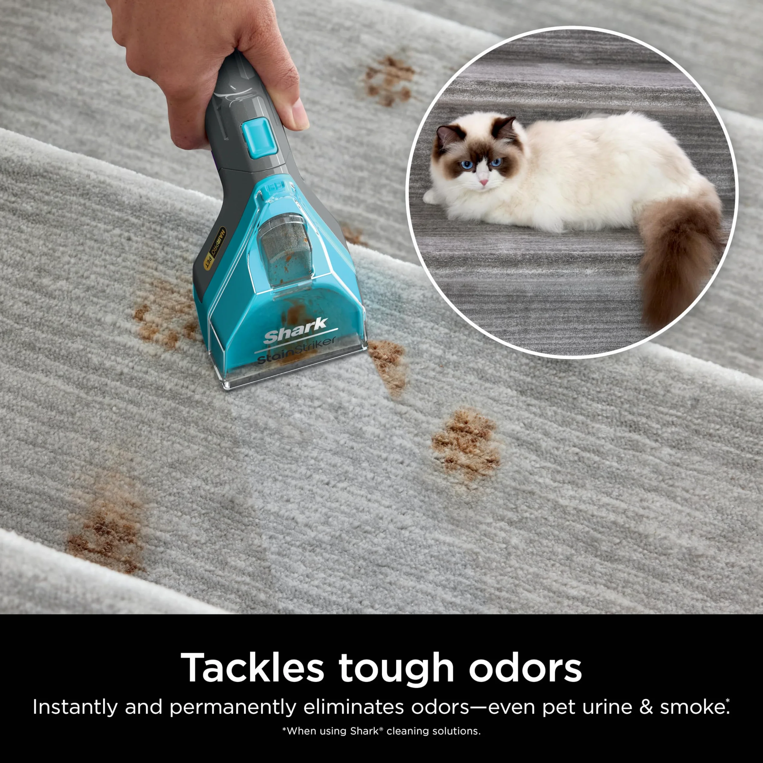 Shark EXCM48 CarpetXpert Deep Clean Pro Formula pour nettoyeurs de tapis Shark verticaux et portables, formulée pour tous les tapis, tissus d'ameublement et tapis, élimine les saletés et les odeurs