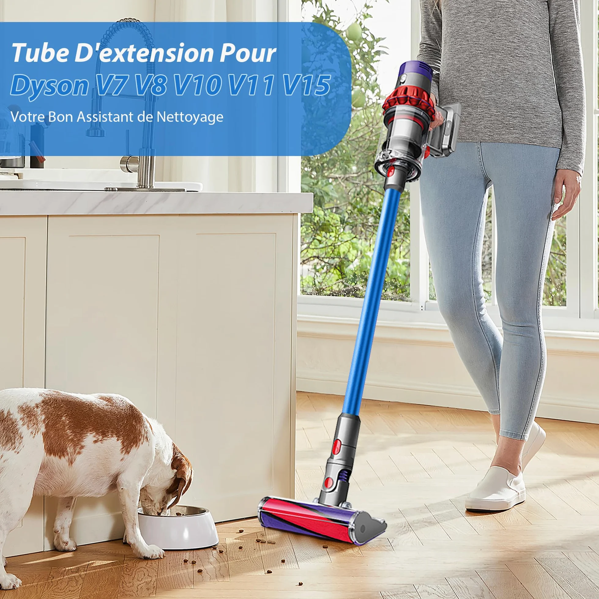 Tube d'Extension Télescopique Dyson Compatible V7 V8 V10 V11 V15 - Avec 2 Filtres et Deux Brosses 2-en-1 - Bleu