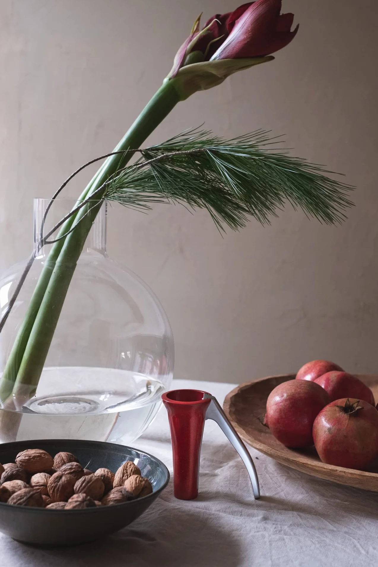 Casse Noix Premium Drosselmeyer - Casse-noisettes Très fort Robuste avec récipient pour recueillir les moules - Résistant Efficace avec un Minimum d'Effort - Conçu et produit en Suède