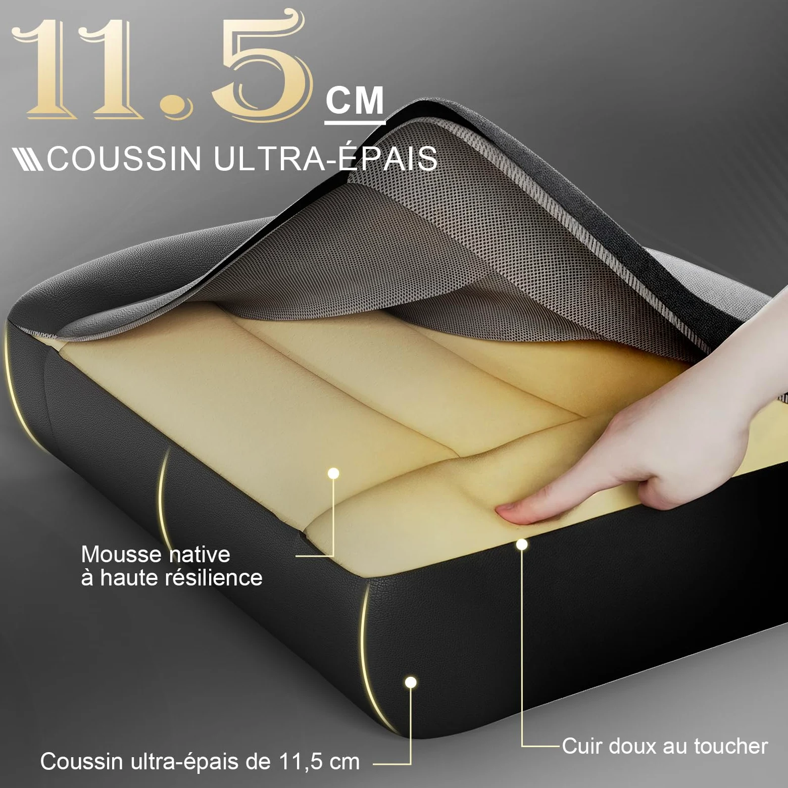 TRIUMPHKEY Chaise de Jeu Ergonomique avec Massage Lombaire, Fauteuil Gaming, Repose-Pieds Rétractable, Dossier Réglable, Confort Quotidien, Gaming et Bureau, Noir