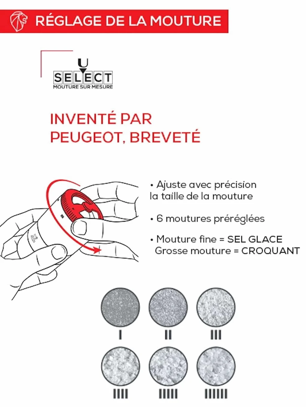 PEUGEOT - Bar À Sel Maestro - Moulin À Sel 10cm Réglage U'Select - Innovation Sel Glace, Mécanisme Zirlion - Fabrication Française - en Bois PEFC & INOX - Coloris Graphite