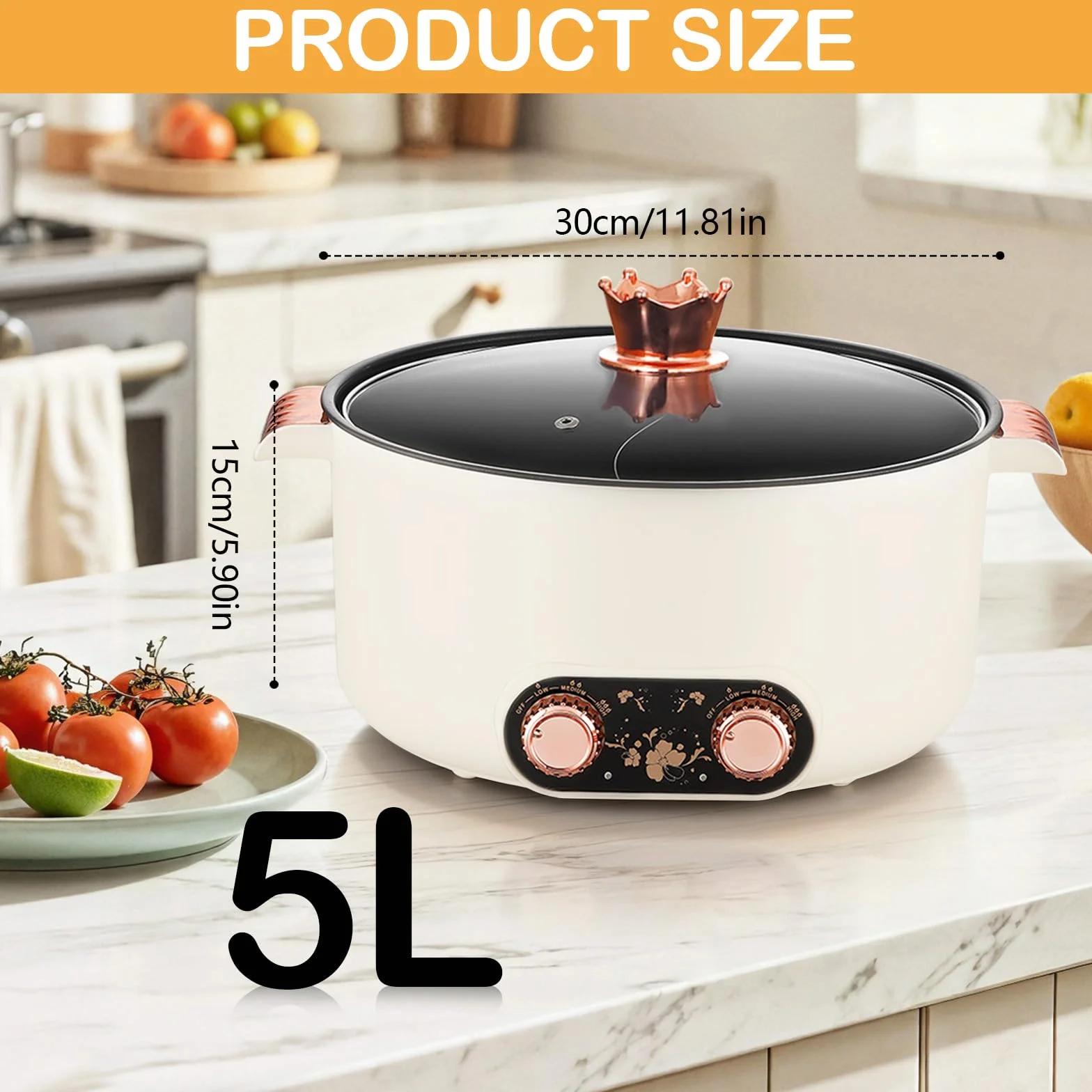 Appareil a Fondue, Fondue Chinoise 5 L à avec Compartiments Rechaud Electrique Pot 1 350 W avec 3 Réglages de Puissance pour Cuire des Fondues Préparer des Soupes Faire Bouillir des Nouilles